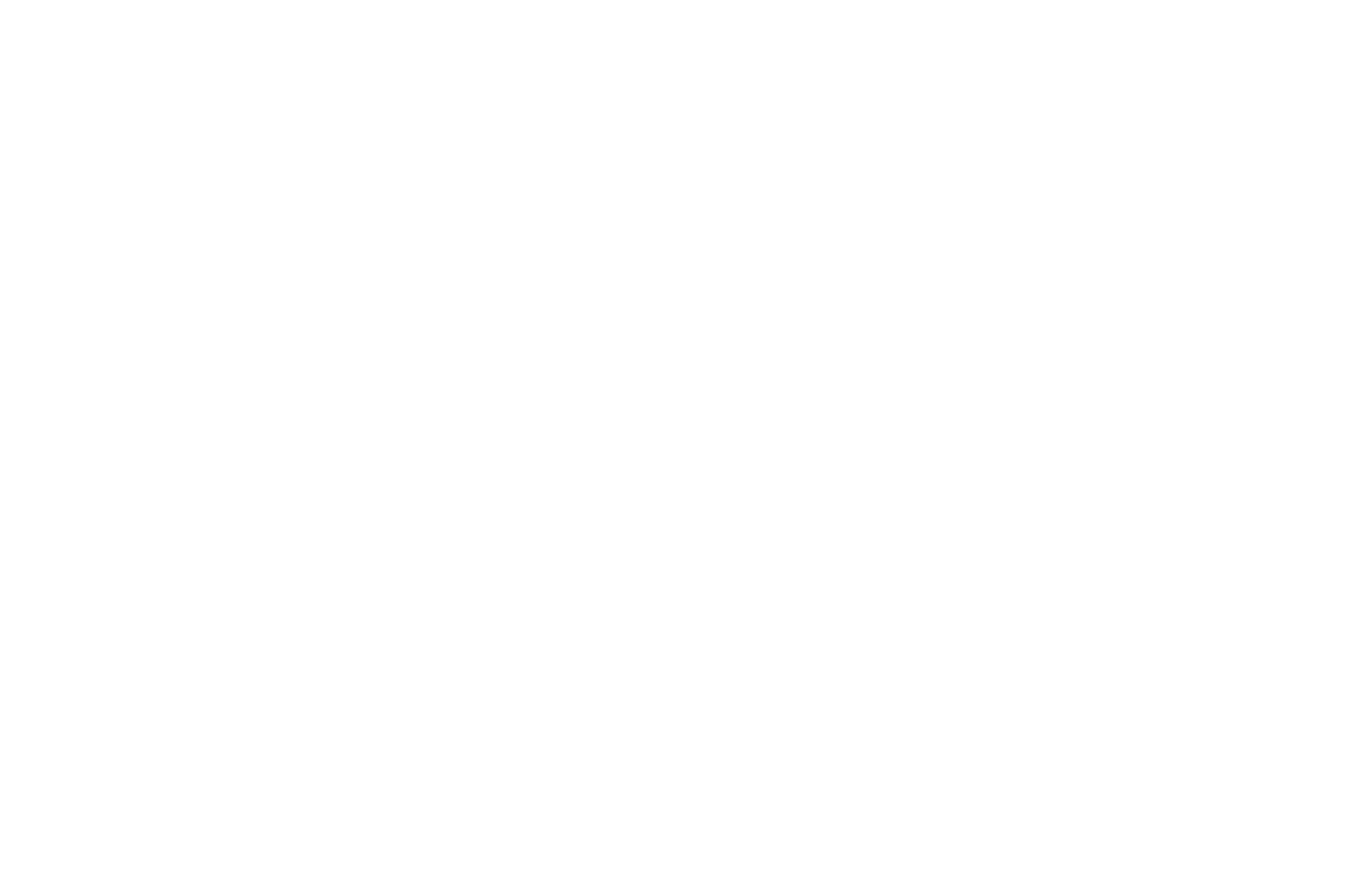 BSFF Best Narrative White