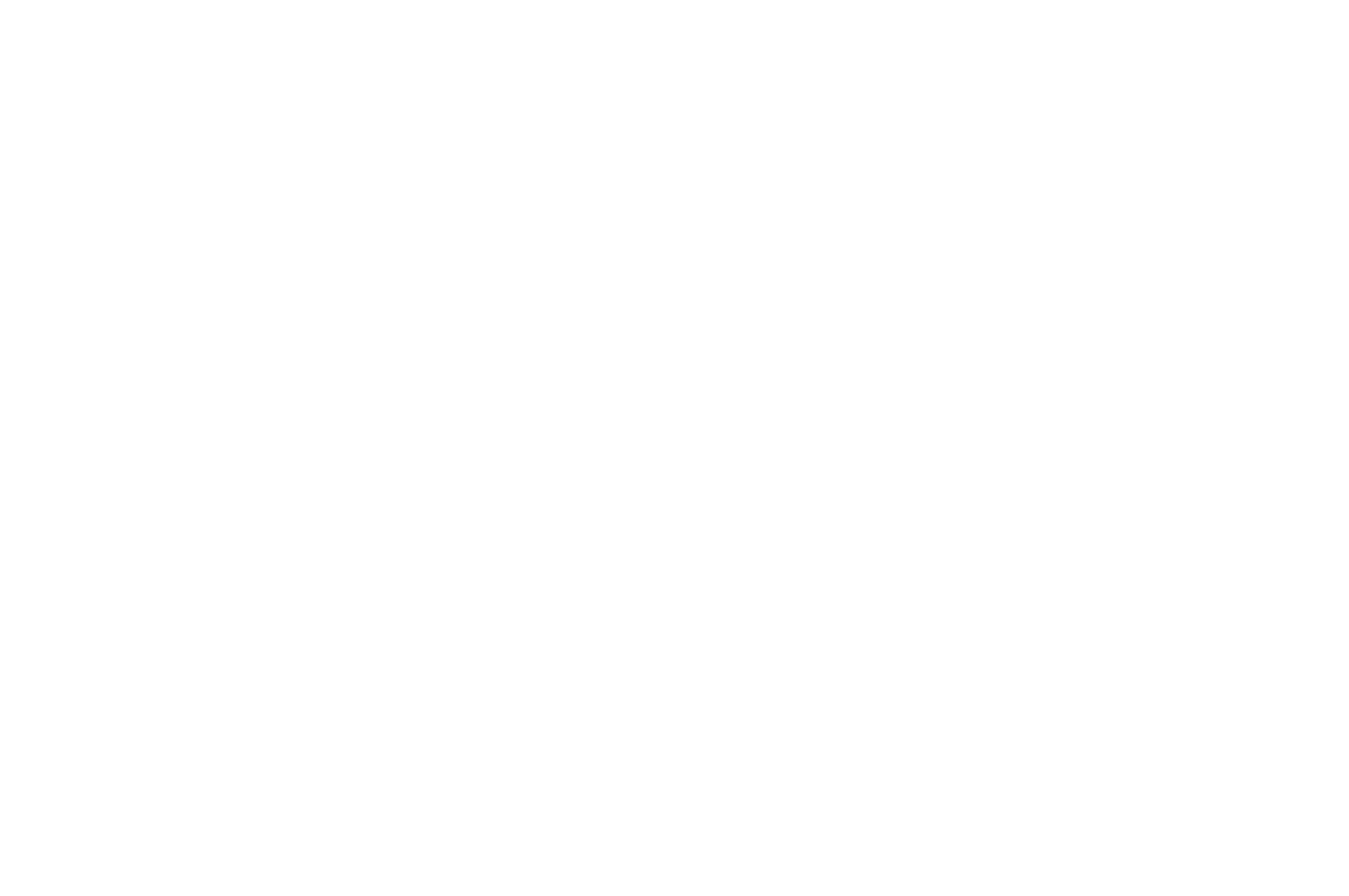 Animation